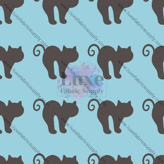 Black Cats On Light Blue Fvs Catalog
