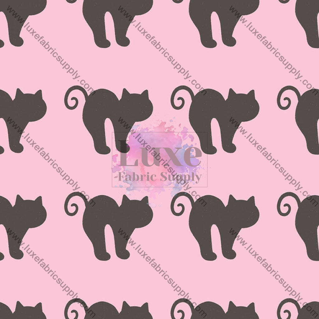 Black Cats On Light Pink Fvs Catalog