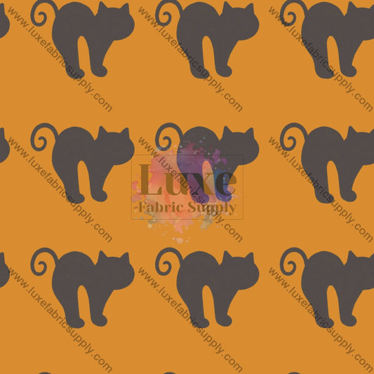 Black Cats On Orange _ Spooked Fvs Catalog