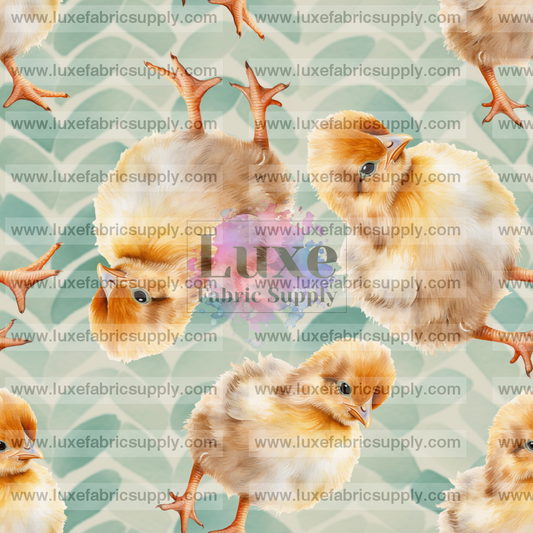 Chicken Baby Lfs Catalog