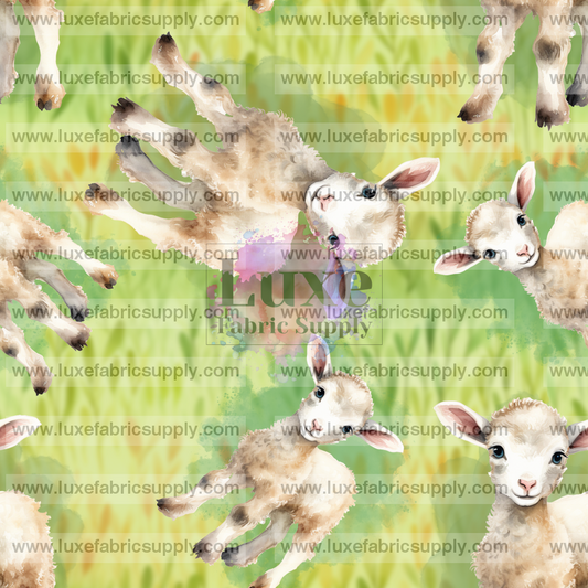 Sheep Baby Lfs Catalog