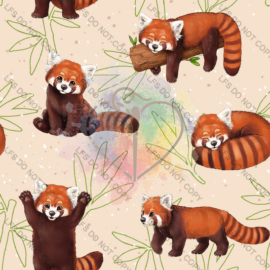 Rgg0115 - Red Pandas